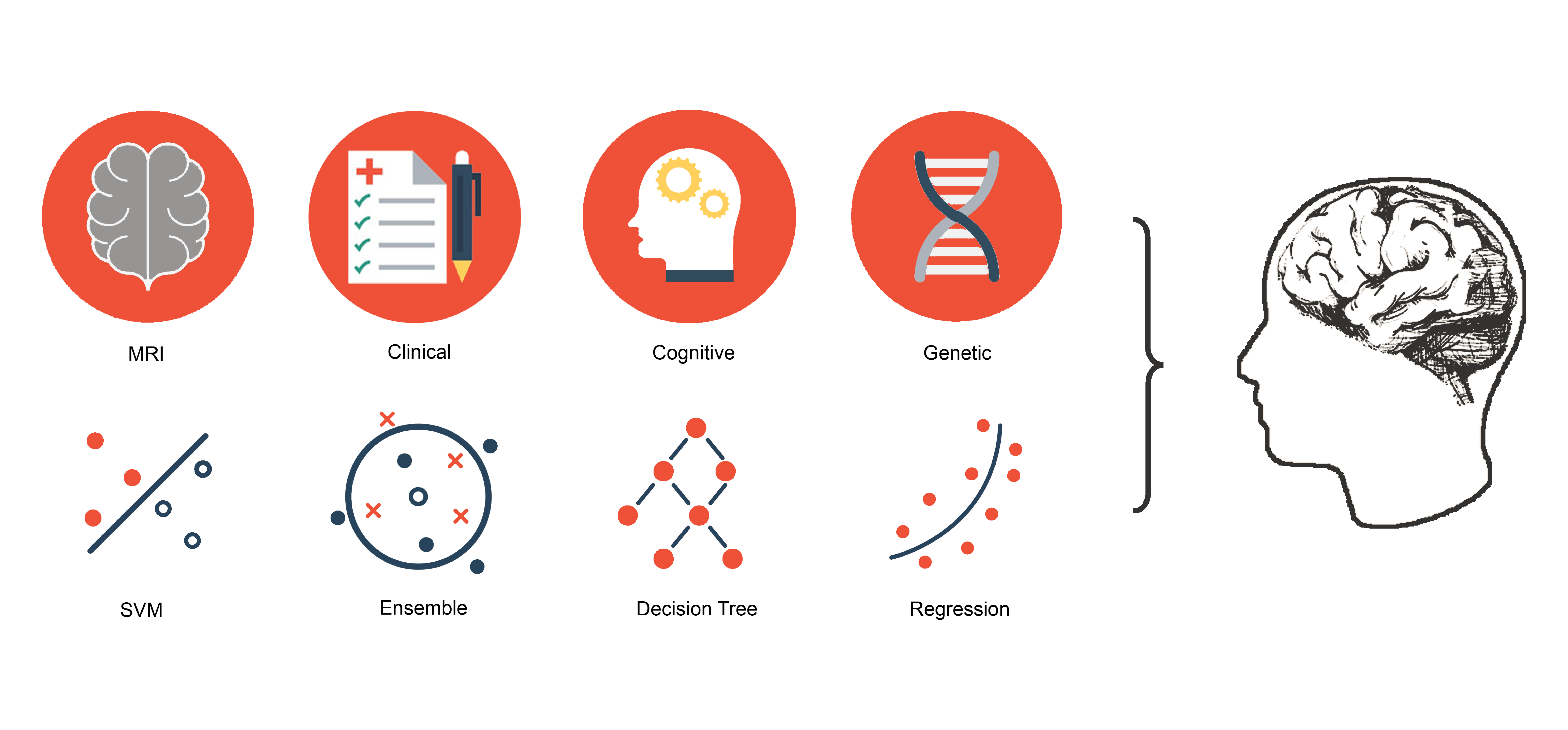 Various input data and algorithms