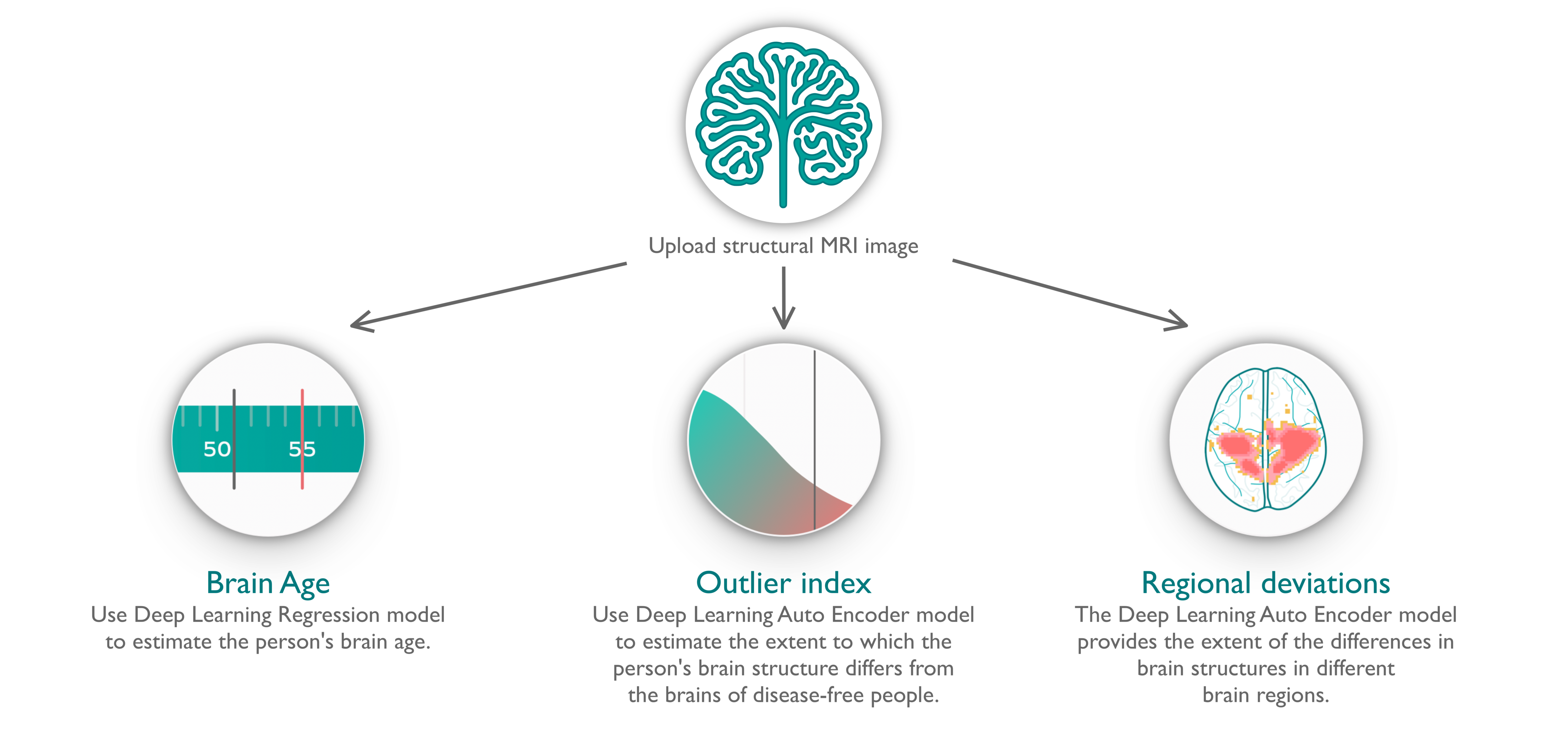 How Neurofind works